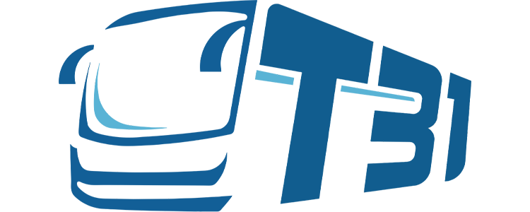 6-T31