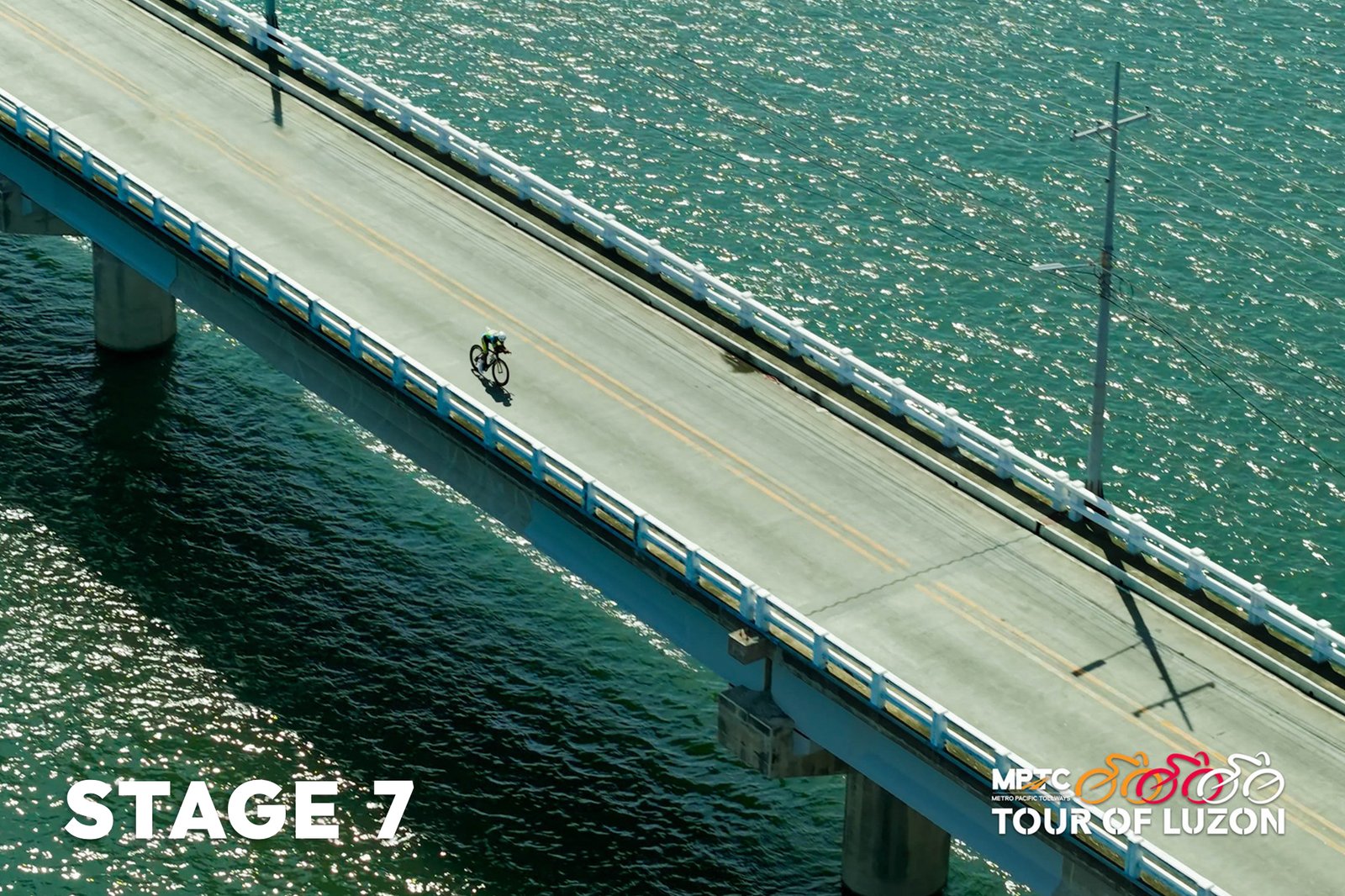TOL-Stage-7_Labrador